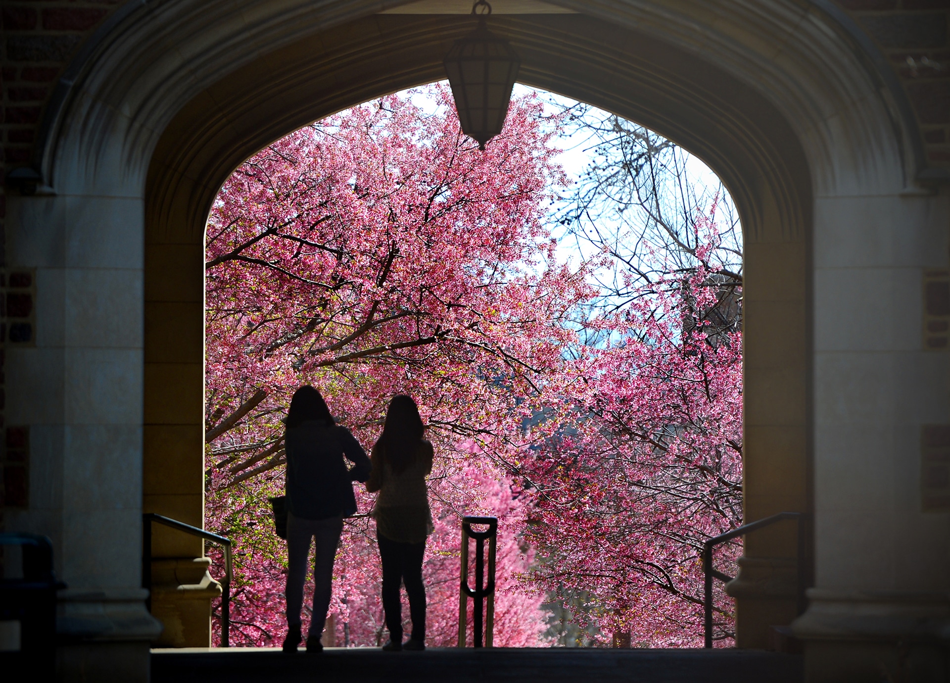 April 10, 2014 - Students spend the morning outdoors as the Danforth Campus sees the first signs of spring.
James Byard/WUSTL Photos